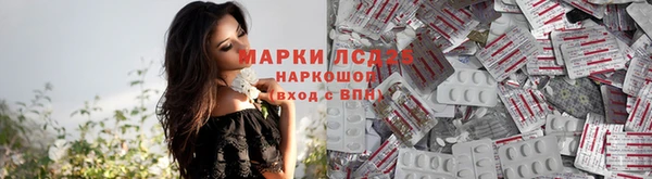 тгк Дмитров