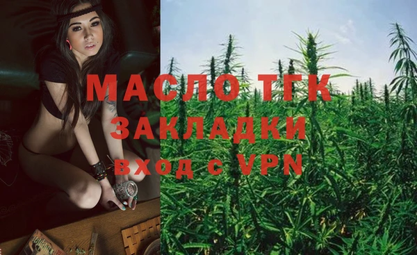 тгк Дмитров