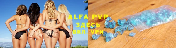 тгк Дмитров