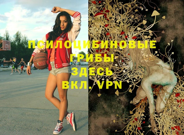 тгк Дмитров