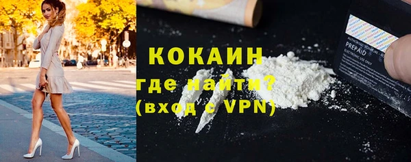 тгк Дмитров