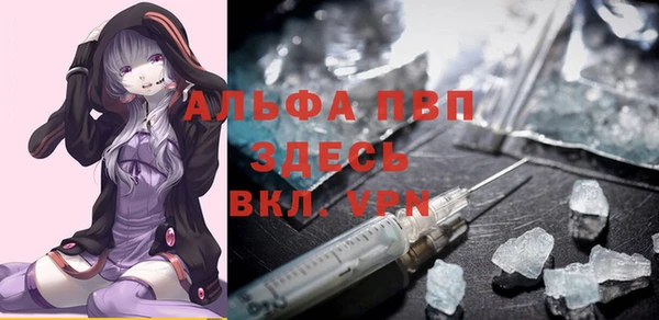 тгк Дмитров