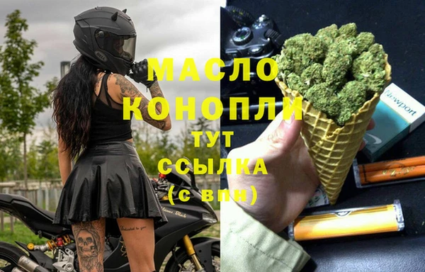 тгк Дмитров