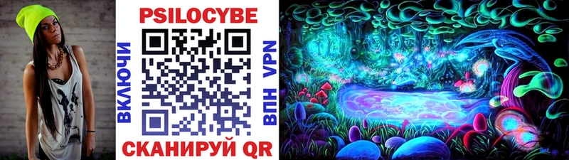 Галлюциногенные грибы мухоморы  дарнет шоп  MEGA как зайти  Злынка 