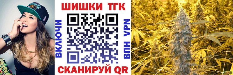 Конопля семена  где купить наркотик  Злынка 